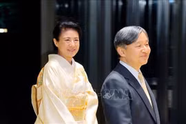 越南政府总理范明政和东盟各国领导人会见日本天皇和皇后