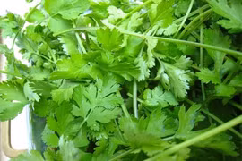 欧盟取消对部分越南香料和蔬菜的管制