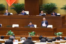 越南第十五届国会第五次会议新闻公报（第十号）