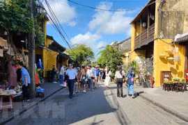 大叻和会安加入联合国教科文组织创意城市网络