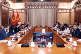 胡志明市与英国伙伴加强绿色增长合作