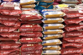 印度尼西亚敦促东盟国家提高粮食产量
