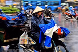 从5月9日至11日南中部、西原和南部出现下大雨天气