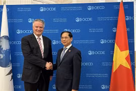 OECD愿为越南促进经济绿色和可持续发展提供支持