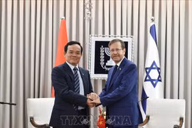 越南政府副总理陈流光会见以色列总统赫尔佐格