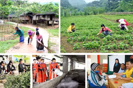 《少数民族地区和山区经济社会发展国家目标计划》为北部19个省份拨出5.7万亿越盾