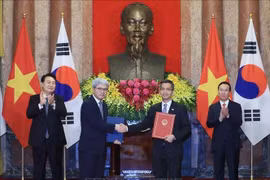 越南与韩国签署17项各领域的合作文件