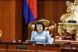 柬埔寨国会主席昆索达莉对越南进行正式访问：加强越柬传统友谊与团结
