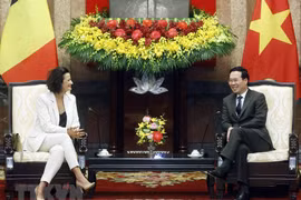 国家主席武文赏会见比利时参议院议长斯蒂芬妮·德霍斯