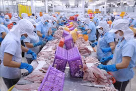 亚行预测2024年越南经济增长率达6%