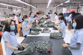 中国对越投资资金有望回升
