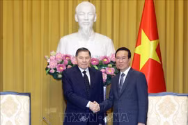 越南国家主席武文赏会见俄罗斯联邦最高法院首席大法官维亚切斯拉夫·列别杰夫 