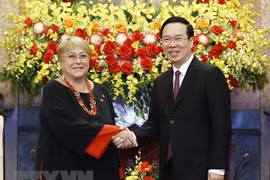 越南国家主席武文赏会见智利前总统