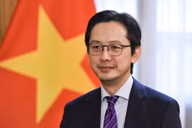 越南外交部副部长杜雄越：越南为东盟—日本峰会取得全面成功作出积极贡献