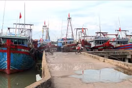 解除IUU“黄牌”警告：清化省密切监视渔业设施和渔船运营情况 