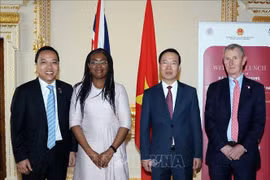 大力推动越英战略伙伴关系发展