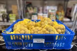 越南驻日本贸易参赞：希望越南新鲜龙眼犹如新鲜荔枝在日本市场站稳脚跟