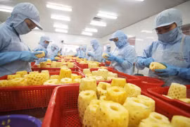 越南果蔬出口形势喜人