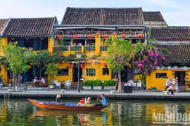 对越南旅游品牌进行定位
