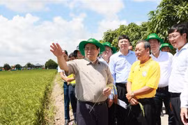越南政府总理范明政赴同塔省调研