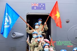 越南为联合国维和使命所做出的贡献