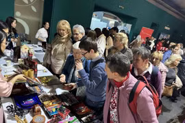 越南参加匈牙利外交慈善博览会