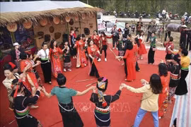 “精彩的羊蹄甲花节之夜”街头游行活动首次在奠边省举行