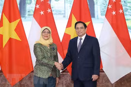 范明政总理正式访问两国之旅提升越南与新加坡和文莱之间的双边合作水平