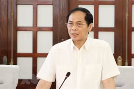 提高领事和公民保护工作的成效
