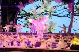 奠边省为羊蹄甲花节上迎接游客做好充足准备