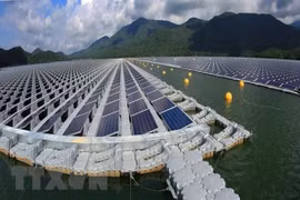欧洲企业关注越南绿色经济和数字化转型领域
