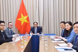 加强越南与莫桑比克多方面合作