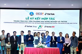 越南一乡一品业主促进数字化转型进程