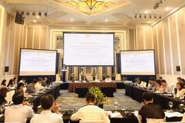 越南召开2021-2025年五年期公共债务偿还和借款计划中期评估咨询研讨会