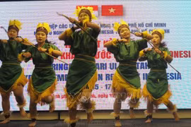 纪念印度尼西亚国庆78周年的友好见面会在胡志明市举行