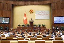 越南国会主席王廷惠：质询和回答质询是一种非常有效的监督形式