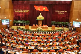  越南共产党建党93周年：南非共产党总书记玛帕依拉对越南的革命成就和地位印象深刻