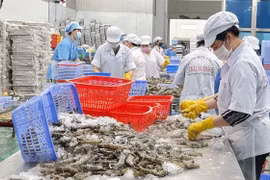 越南企业促进对俄罗斯出口的机会仍较多