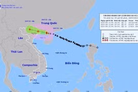 越南全国各地紧急应对第一号台风登陆