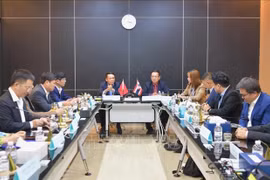 加强越南记者协会与泰国记者协会的合作