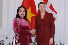 国家副主席武氏映春与丹麦首相梅特·弗雷泽里克森举行会谈 会见丹麦议会议长索伦·盖德