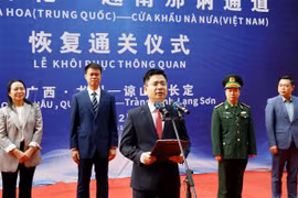 越南那讷-中国那花口岸恢复通关