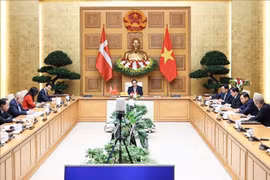 越南与丹麦建立绿色战略伙伴关系：为两国开拓新发展空间 