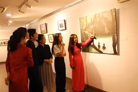 “湄公河-两岸的故事”摄影艺术展在岘港举行