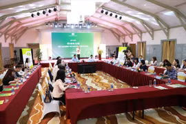 越南的绿色信贷余额占国民经济总量的4.2%左右
