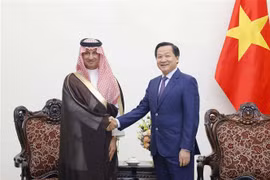 越南政府副总理黎明慨：越南重视加强与沙特阿拉伯在多领域的友好合作关系