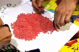 广治省职能机构查获将毒品从老挝运往越南的犯罪团伙