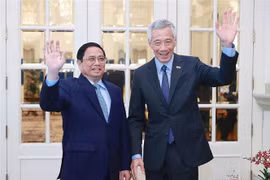 越南与新加坡建交50周年：梅福勇大使认为两国关系处于极为良好阶段