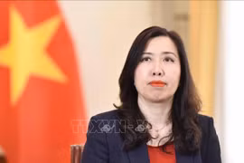 黎氏秋姮副外长：就开展外交工作的认识和行动达成高度共识
