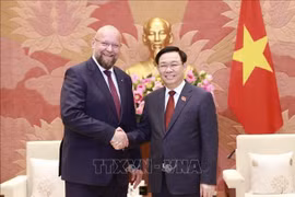 越南国会主席王廷惠会见捷克众议院副议长扬·巴尔托谢克